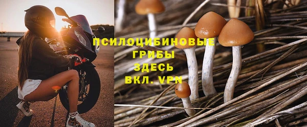 крисы Белокуриха