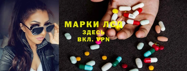 крисы Белокуриха