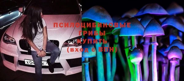 крисы Белокуриха
