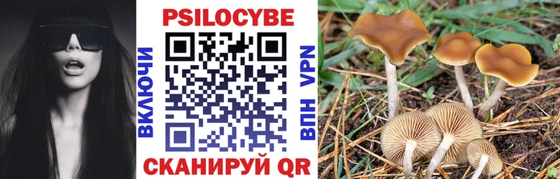 Галлюциногенные грибы Psilocybe  Электрогорск 
